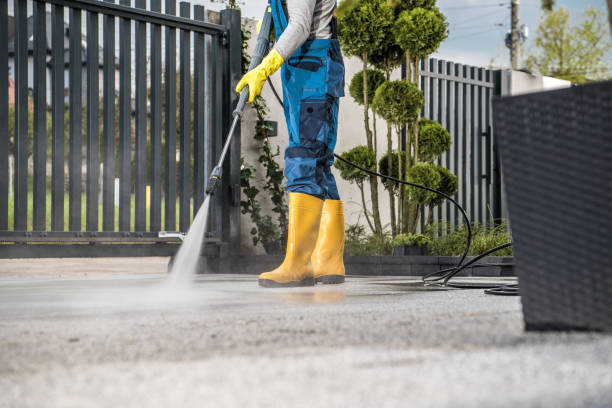 Best Sidewalk Pressure Washing  in Picnic Point, WA