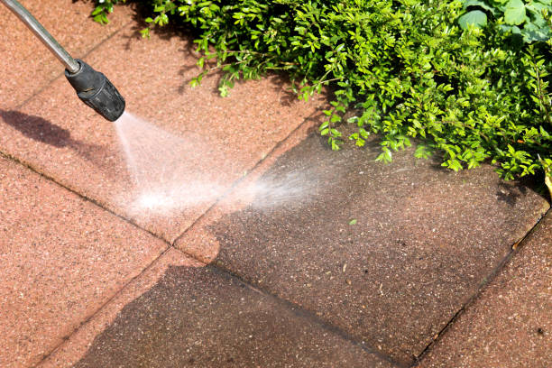 Best Exterior Home Cleaning  in Picnic Point, WA